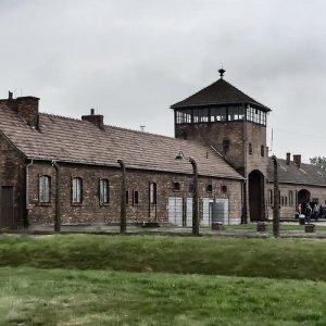 Krakow to Auschwitz Birkenau Guided Tour with Transfer and Ticket