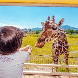 Teotihuacán for kids